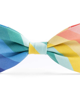 The Foggy Dog Over the Rainbow Bow Tie