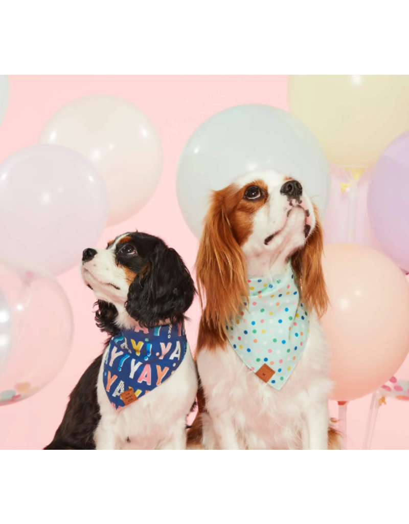 The Foggy Dog The Foggy Dog Bandana Birthday Navy