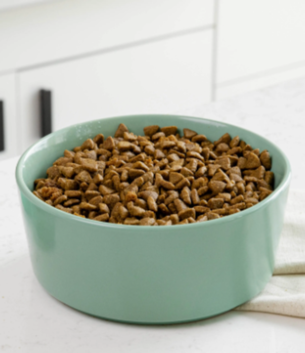 Waggo Waggo Simple Solid Ceramic Bowl