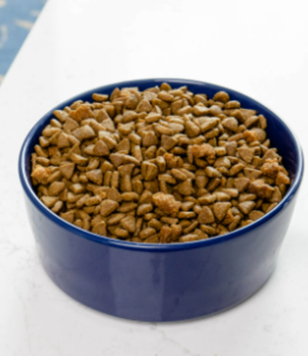 Waggo Waggo Simple Solid Ceramic Bowl