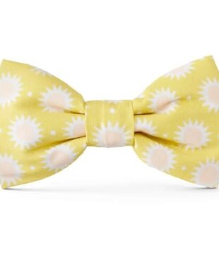 The Foggy Dog Bow Tie