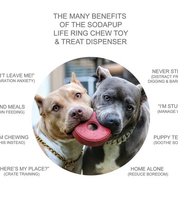 SodaPup Lifesaver Chew Toy Red
