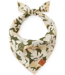 The Foggy Dog Fall Bandana