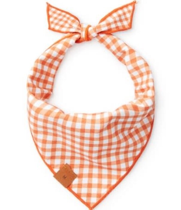 The Foggy Dog The Foggy Dog Fall Bandana