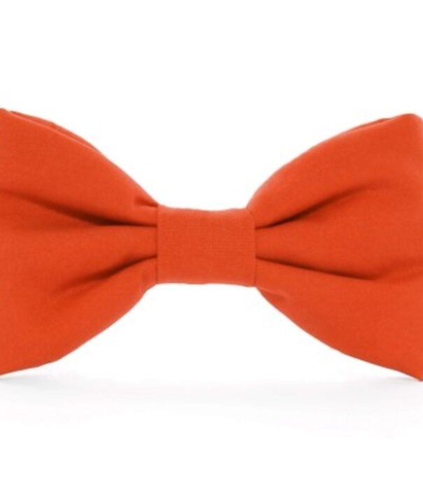 The Foggy Dog The Foggy Dog Bow Tie