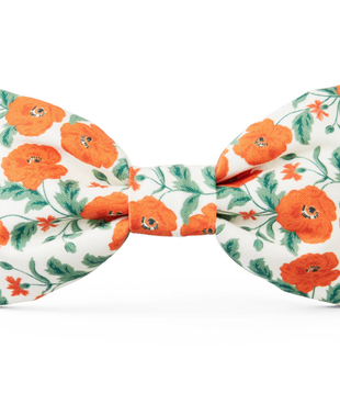 The Foggy Dog Fall Bow Tie