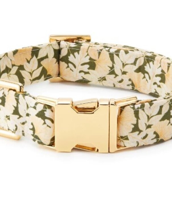 The Foggy Dog The Foggy Dog Fall Collar