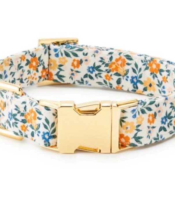 The Foggy Dog The Foggy Dog Fall Collar