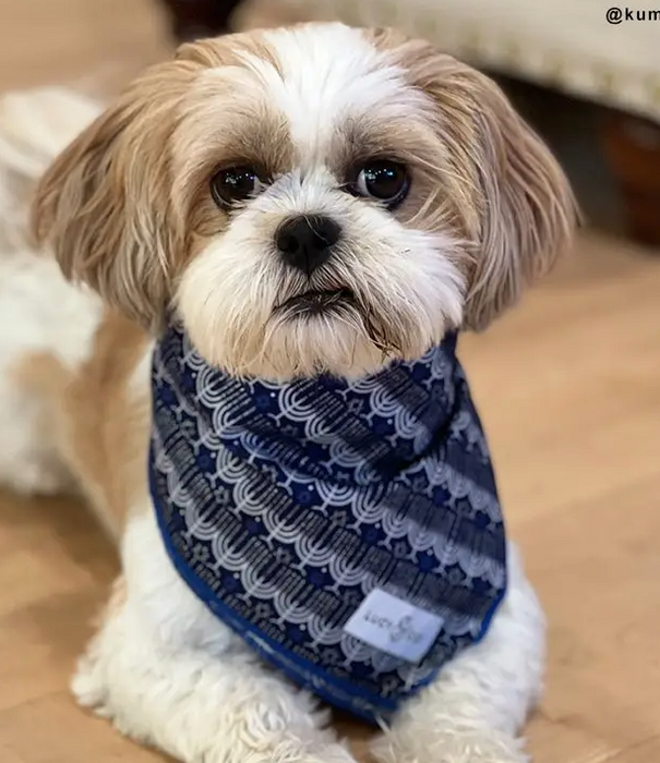 Lucy & Co. Lucy & Co. Holiday Bandana