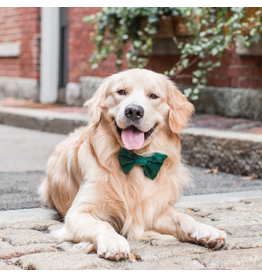 The Foggy Dog The Foggy Dog Holiday Bow Tie