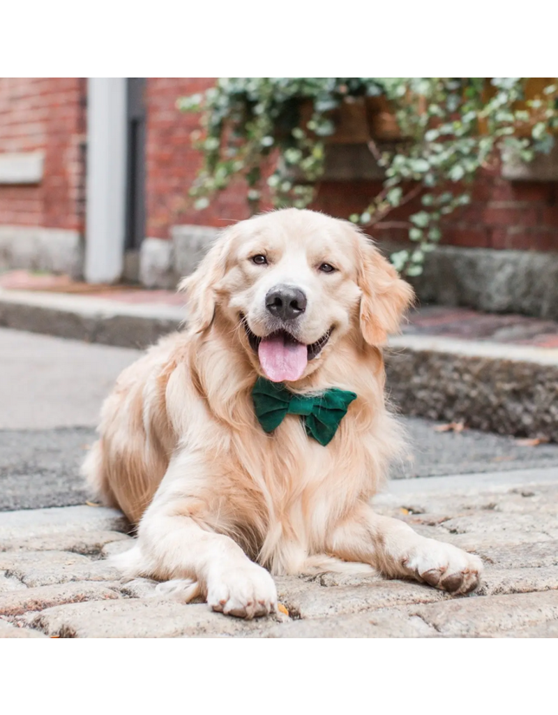 The Foggy Dog The Foggy Dog Holiday Bow Tie