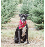 The Foggy Dog The Foggy Dog Holiday Bandana