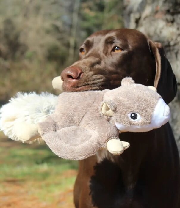 Tall Tails Tall Tails Plush Flying Squirrel Toy 12 "