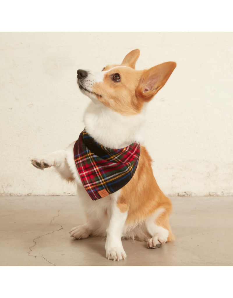 The Foggy Dog The Foggy Dog Holiday Bandana