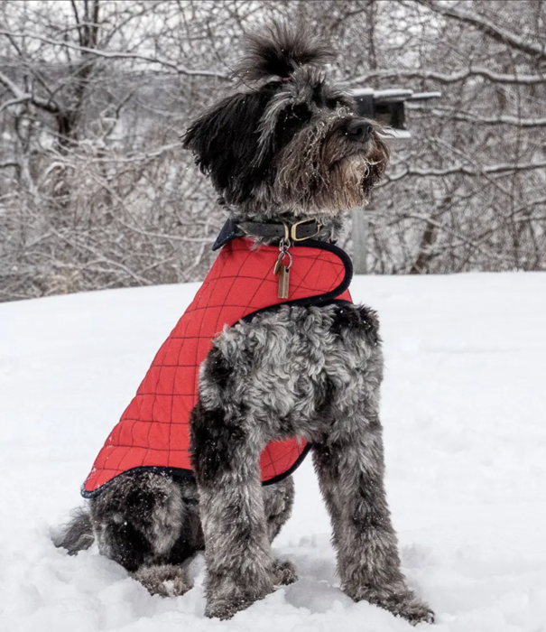 Paco & Lucia Paco & Lucia Dog Jacket Munay