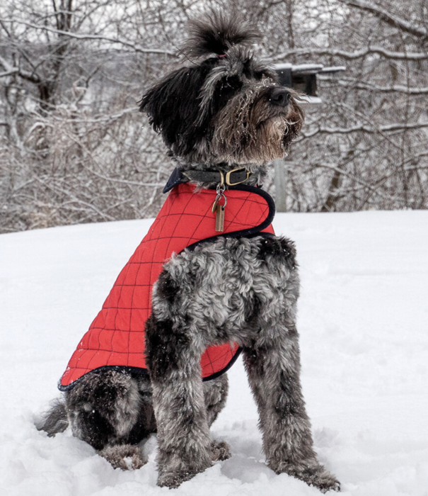 Paco & Lucia Paco & Lucia Dog Jacket Munay