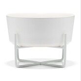Waggo Simple Solid Dog Bowl + Stand