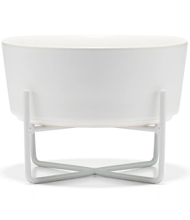 Waggo Waggo Simple Solid Dog Bowl + Stand
