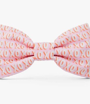 The Foggy Dog Valentine's Day Bowtie