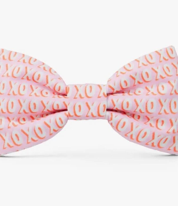 The Foggy Dog The Foggy Dog Valentine's Day Bowtie