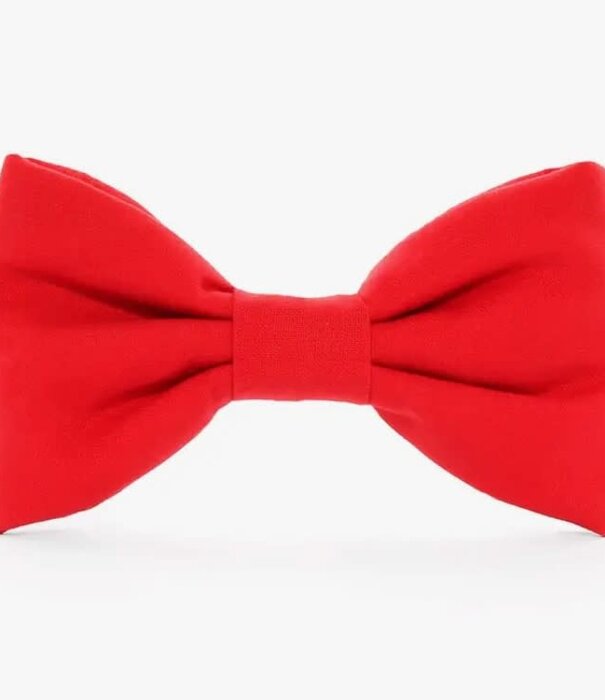 The Foggy Dog The Foggy Dog Valentine's Day Bowtie