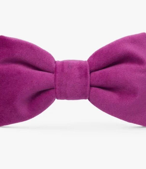 The Foggy Dog The Foggy Dog Valentine's Day Bowtie