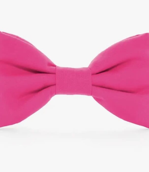 The Foggy Dog The Foggy Dog Valentine's Day Bowtie