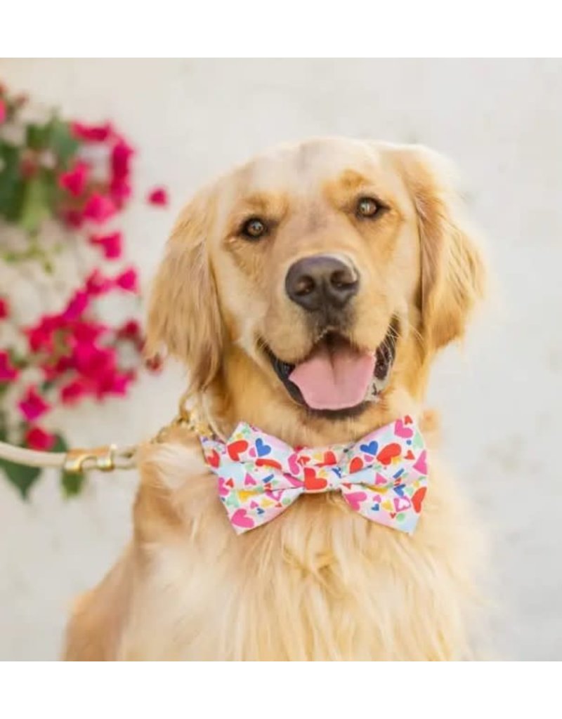 The Foggy Dog The Foggy Dog Valentine's Day Bowtie