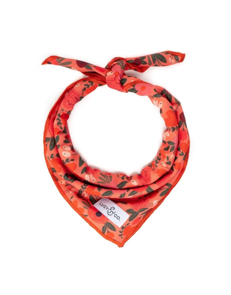 Lucy & Co. Lucy & Co. Valentine's Day Bandana