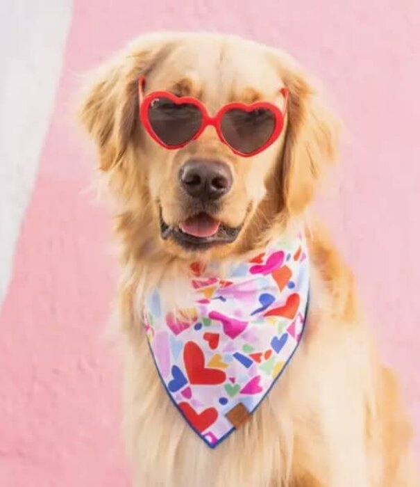The Foggy Dog The Foggy Dog Valentine's Day Bandana