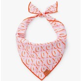 The Foggy Dog Valentine's Day Bandana