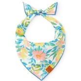 The Foggy Dog St. Patrick's Day Bandana