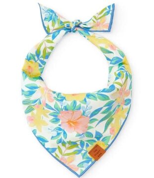 The Foggy Dog St. Patrick's Day Bandana