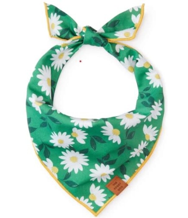 The Foggy Dog The Foggy Dog St. Patrick's Day Bandana