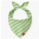 The Foggy Dog St. Patrick's Day Bandana