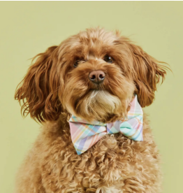 The Foggy Dog The Foggy Dog Easter Bandana