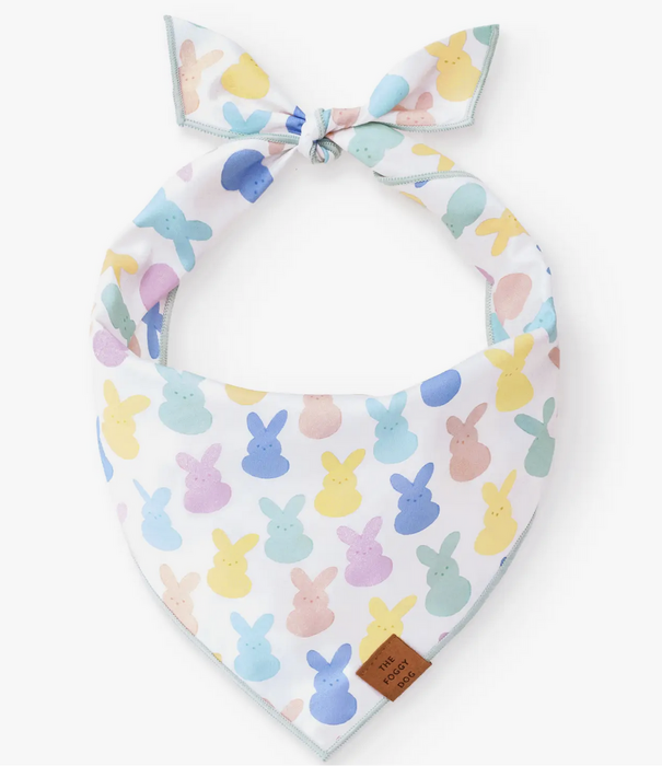 The Foggy Dog The Foggy Dog Easter Bandana