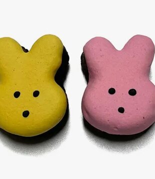 Bubba Rose Biscuit Co. Spring Bunny Brownie Bites