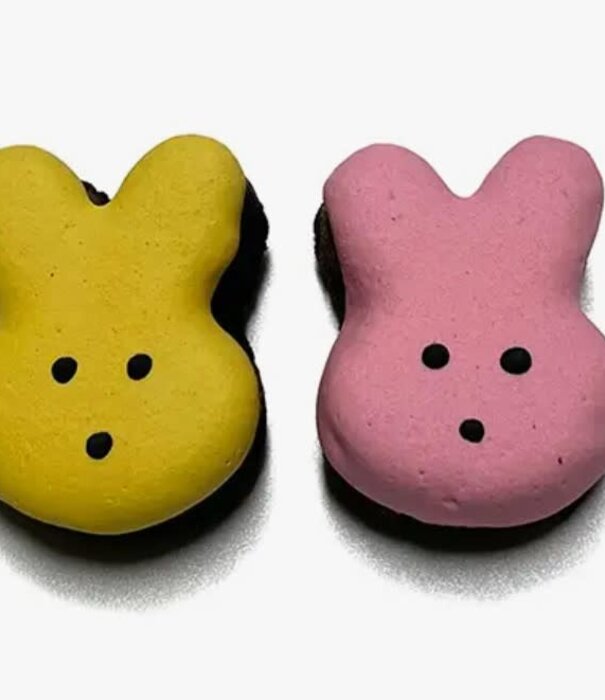 Bubba Rose Biscuit Co. Bubba Rose Biscuit Co. Spring Bunny Brownie Bites