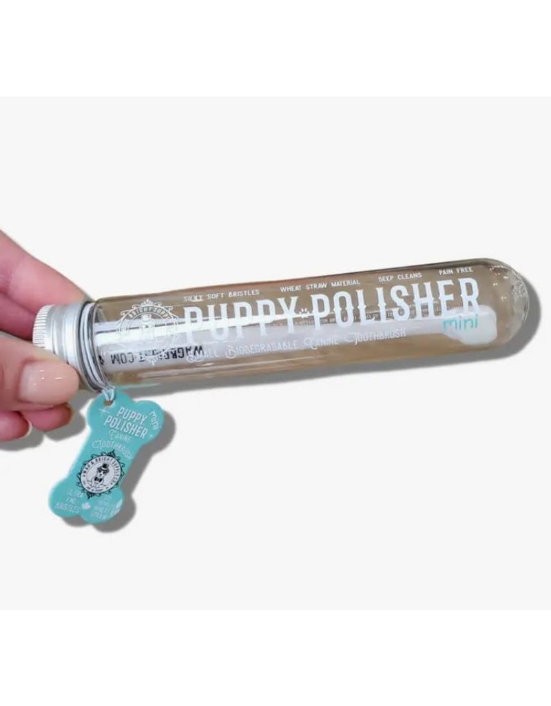 Wag & Bright Supply Co. Wag & Bright Supply Co. Puppy Polisher Mini Toothbrush