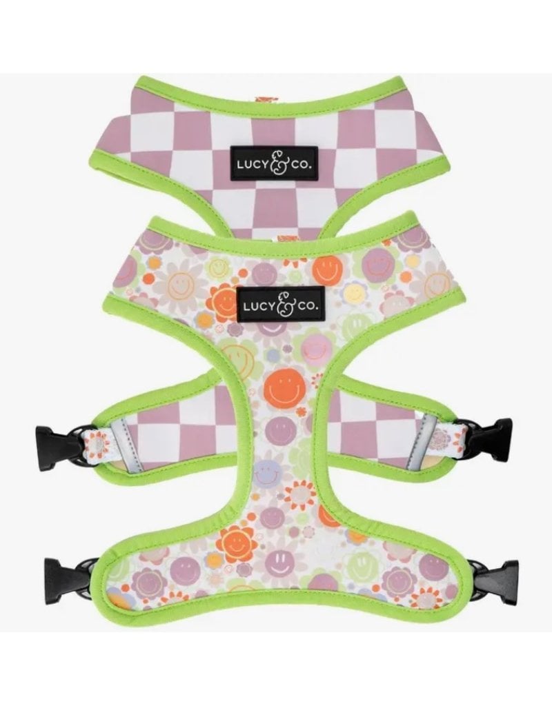 Lucy & Co. Lucy & Co. Reversible Harness