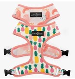 Lucy & Co. Lucy & Co. Reversible Harness
