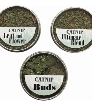 From the Field Catnip Flight