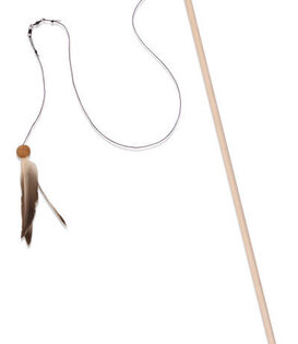 From the Field- Freddy's Feather Wand