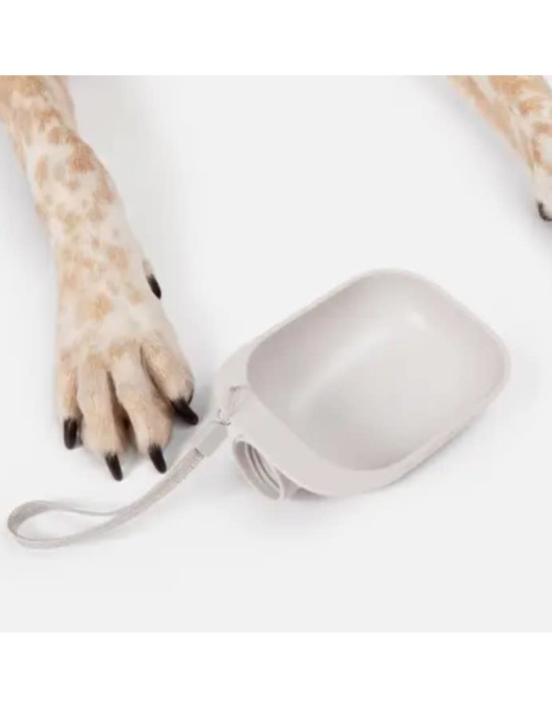 The Modern Pet Company Modern Pet Travel Dog Bowl Gray