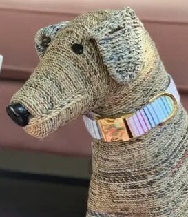 The Foggy Dog Spring Collar