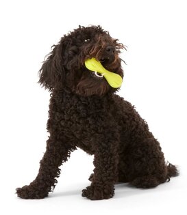 West Paw Hurley Small