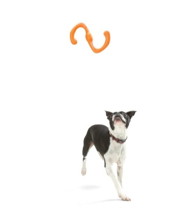 West Paw Design West Paw Bumi Small
