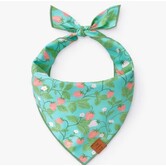 The Foggy Dog Spring Bandana