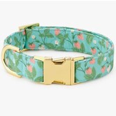 The Foggy Dog Spring Collar
